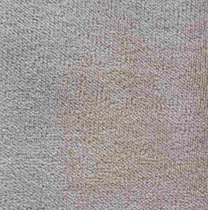 20250523_151119_22_11zon