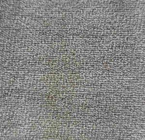 20250523_151151_27_11zon