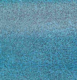 20250523_153952_11zon